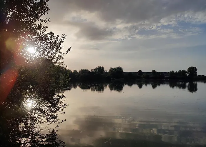 La Campagne A La Ville...